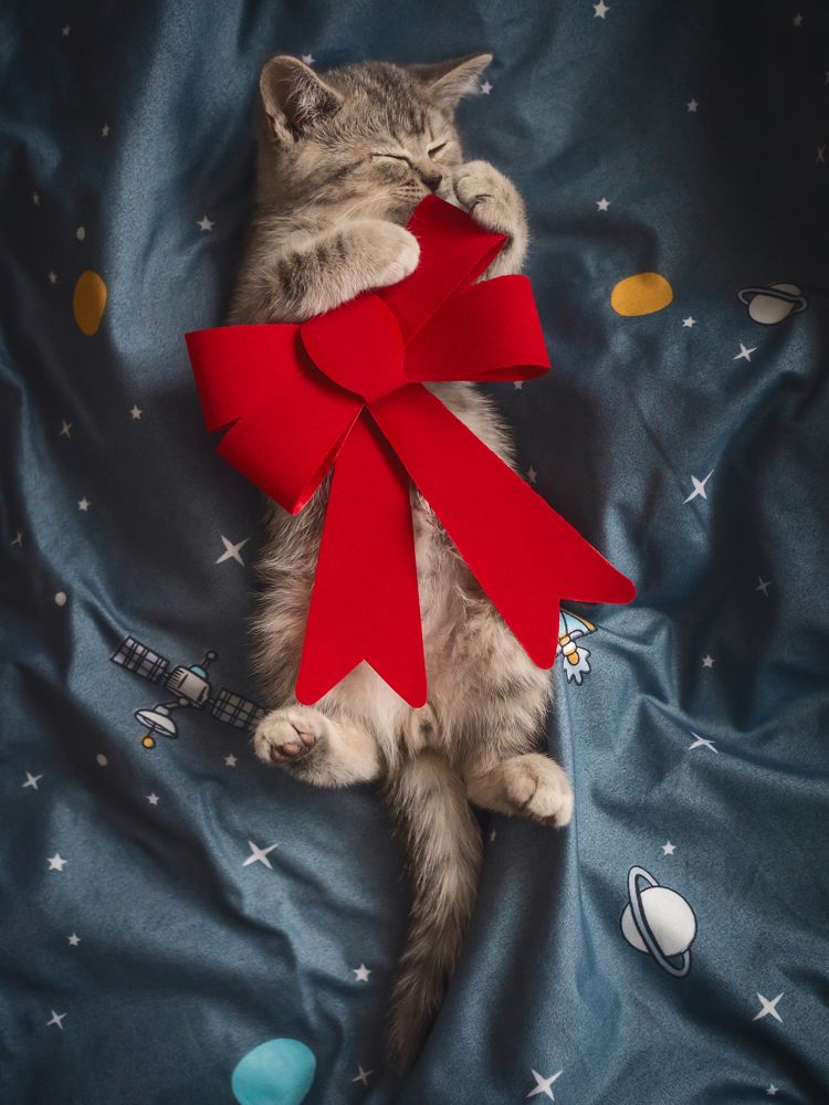 Photograph by Владислава Протащик