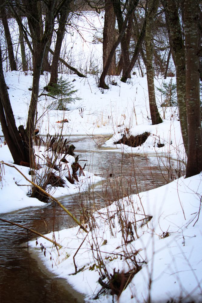 Средь снежного леса