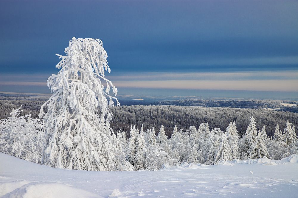 Photograph by Николай Ларионов