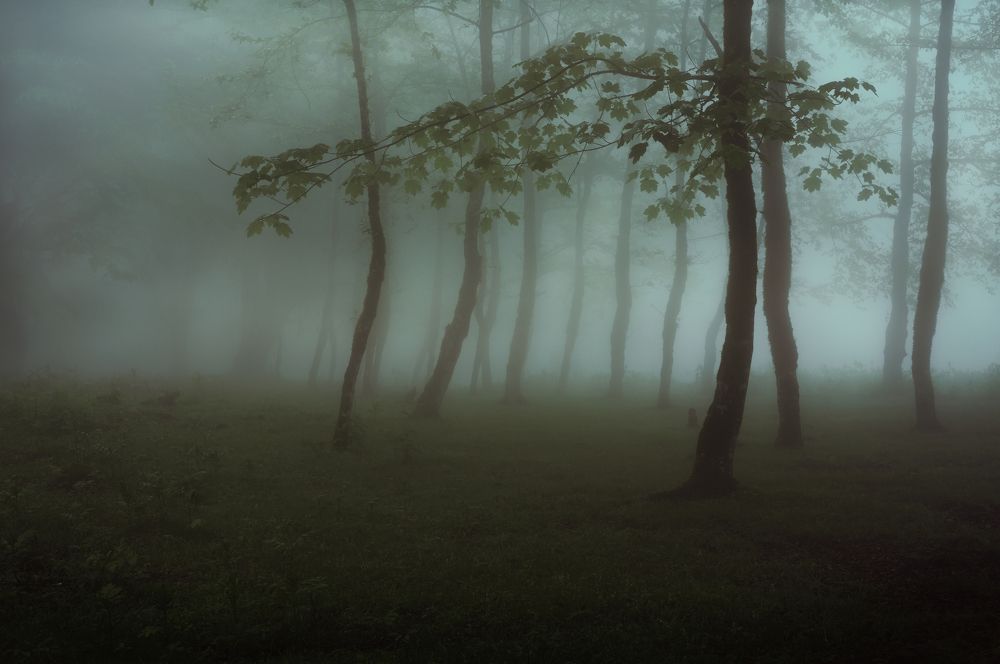 Photograph by Reza Khodaveisi