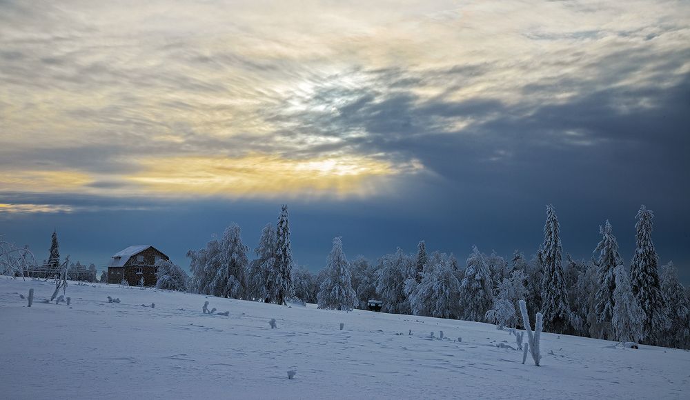Photograph by Николай Ларионов