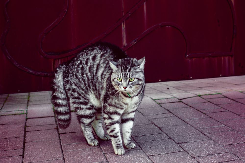 Photograph by Елена Гордеева