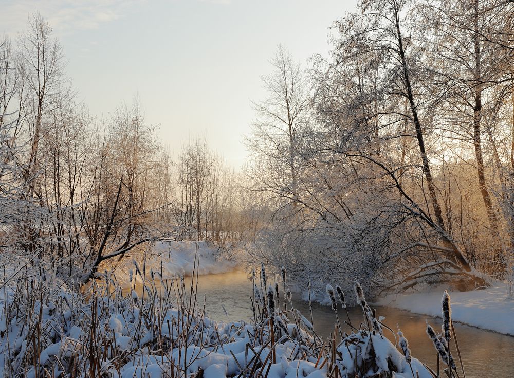 Photograph by Николай Ларионов