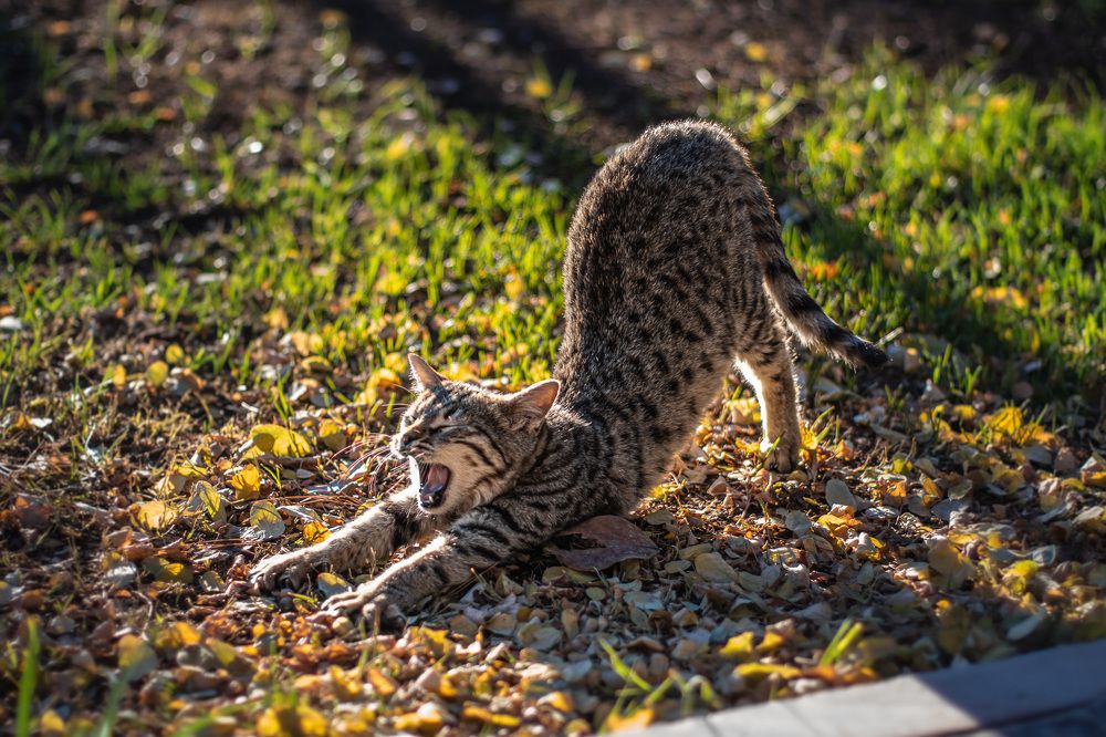 Photograph by sadegh alavi