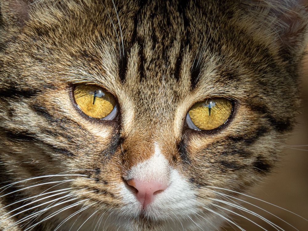 Photograph by sadegh alavi