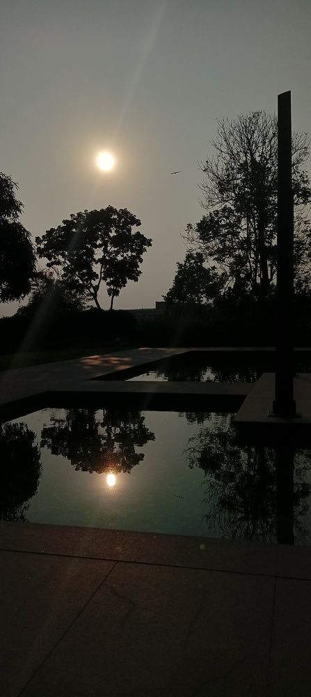 Photo #8718559