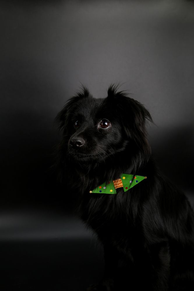 Photograph by Hiba Kallas