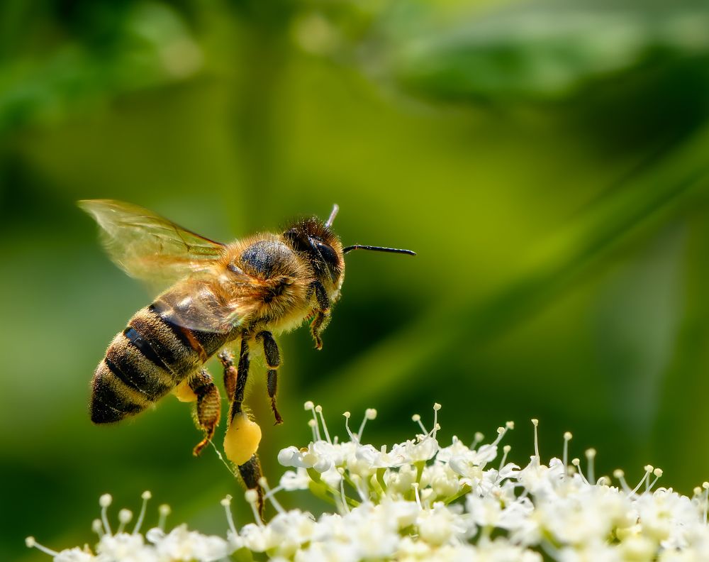 Photograph by  Mykhailo