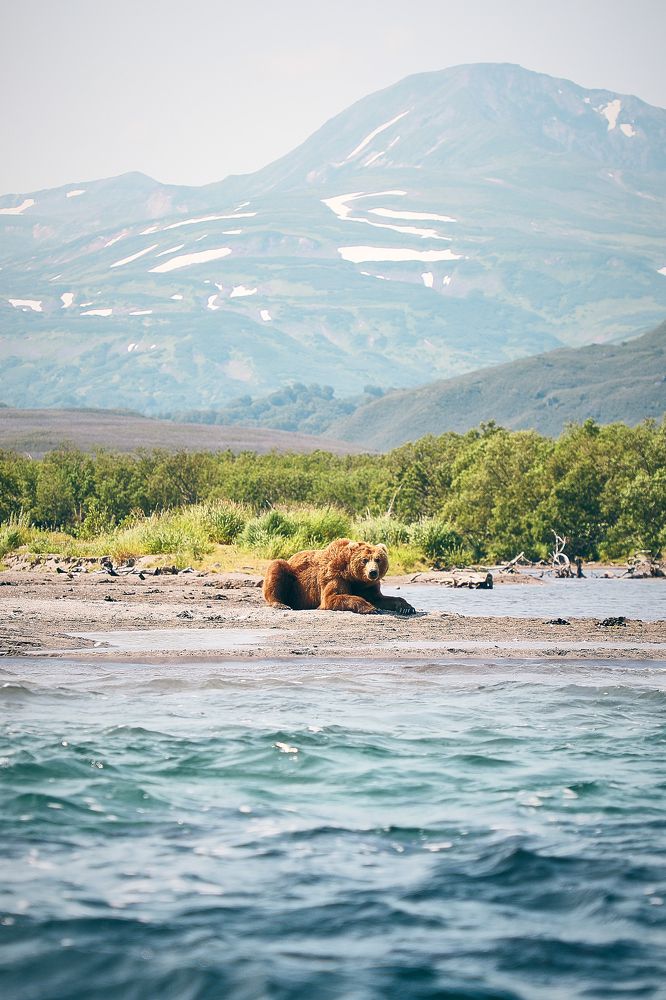 Фотография автора Evgeny Gorbunov