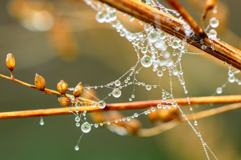 Photograph by  Mykhailo