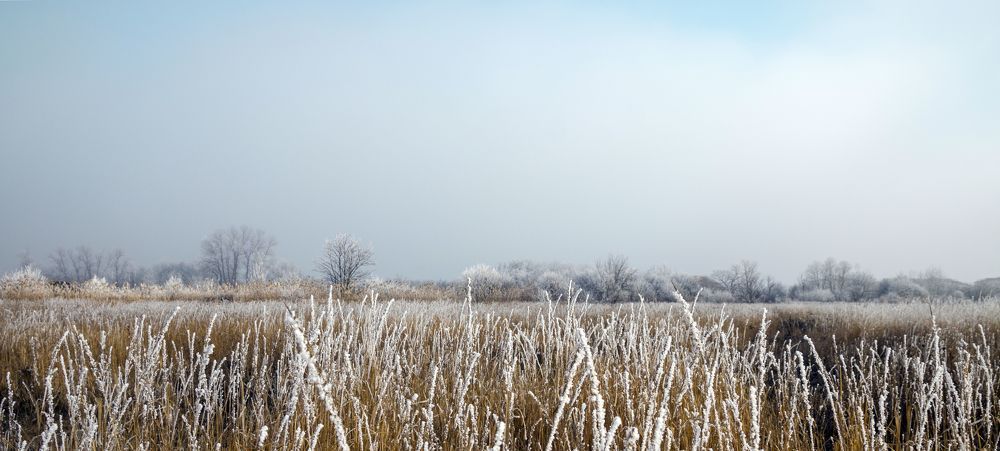 Photograph by Александр Врублевский