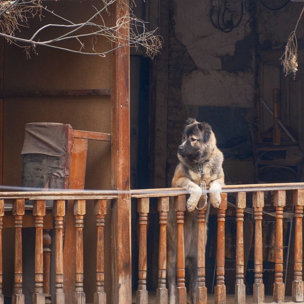 Что это там у соседа?