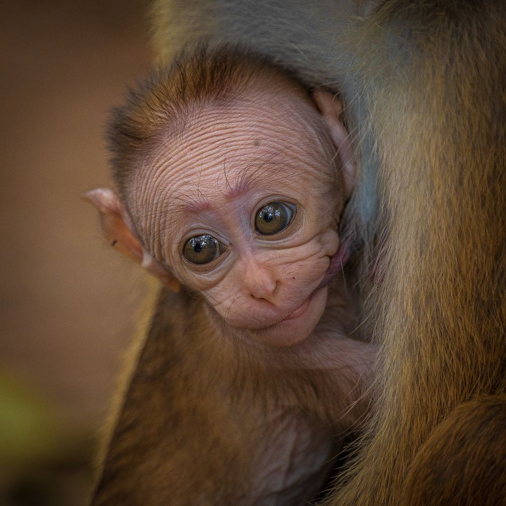 Photograph by Mineth Vismitha