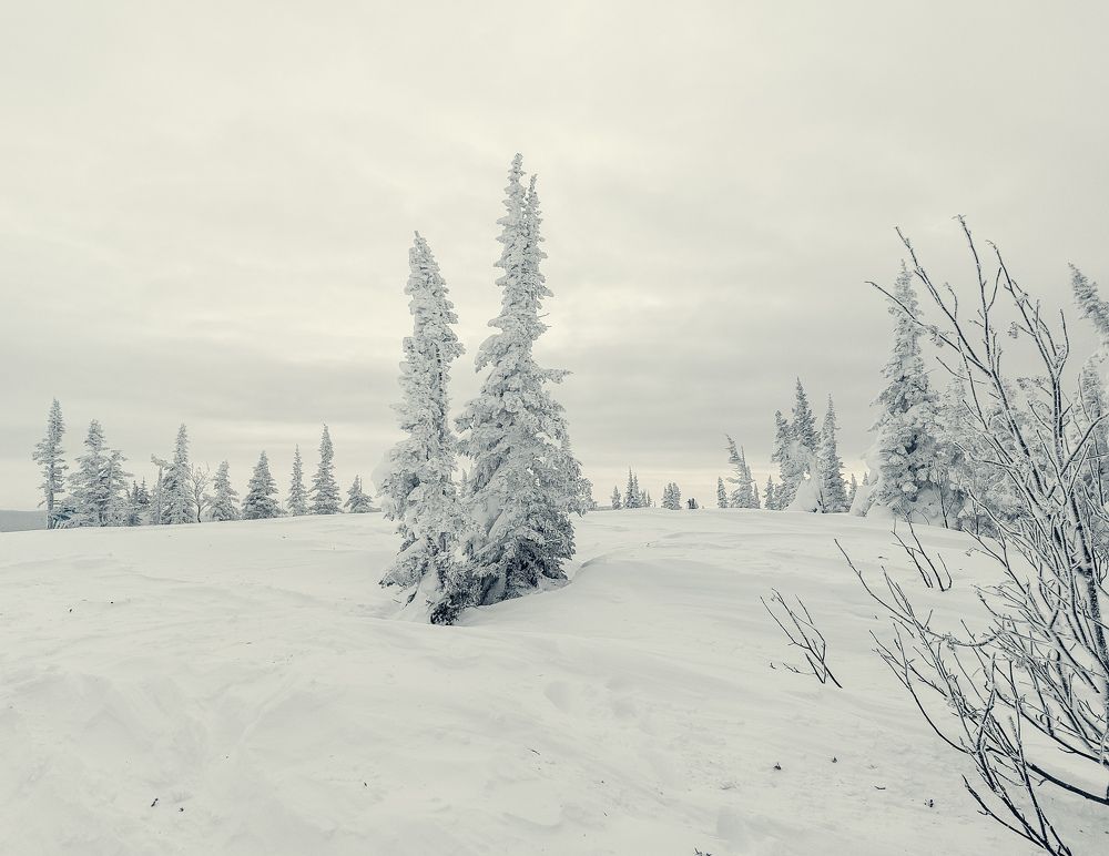 Photograph by Светлана Шиляева