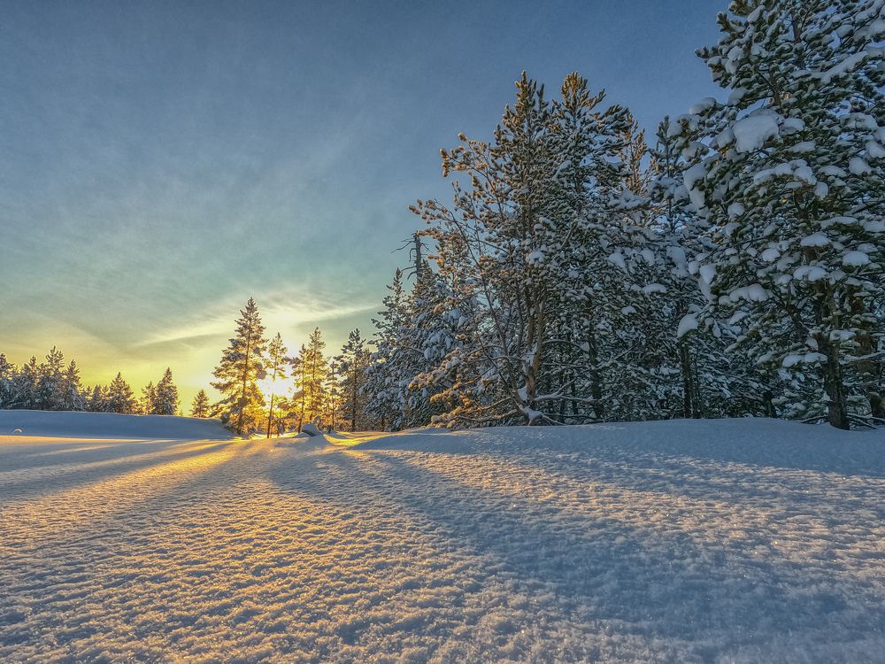 Photograph by Andrew Leshiy