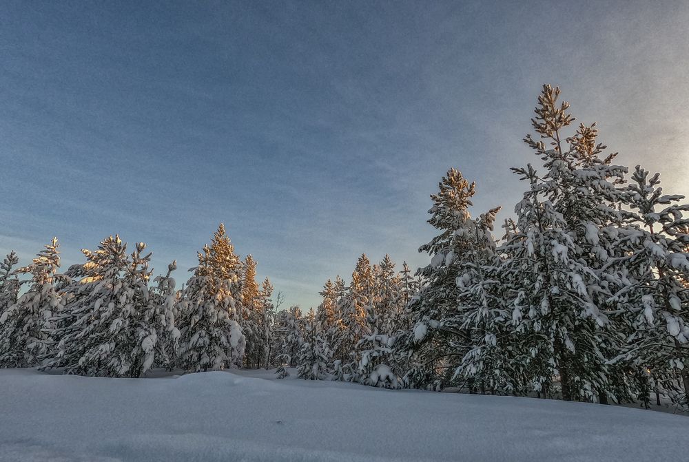 Photograph by Andrew Leshiy