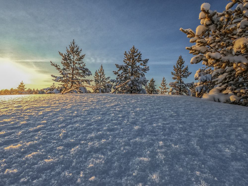 Photograph by Andrew Leshiy