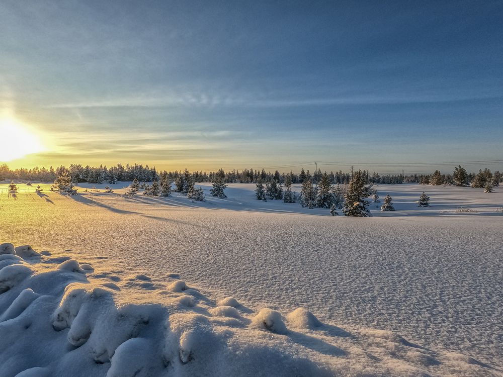 Photograph by Andrew Leshiy