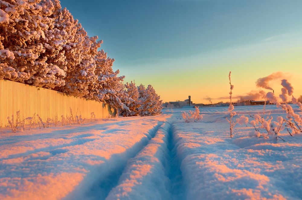 Мороз лыжам не помеха.