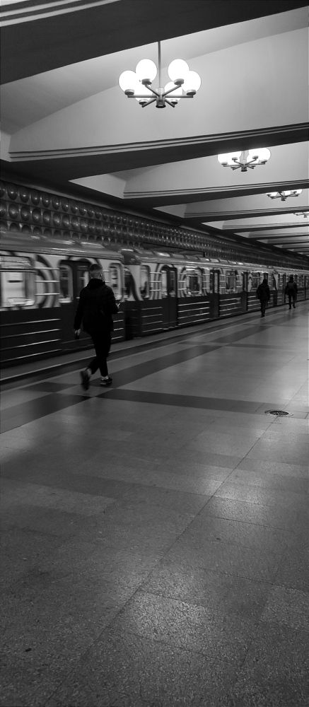 Фотография автора Васильева Ирина