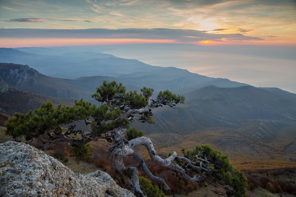 Photograph by Елена Покрепа