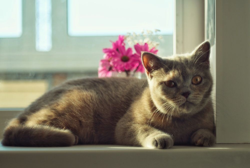 Photograph by Евгения Даниленко