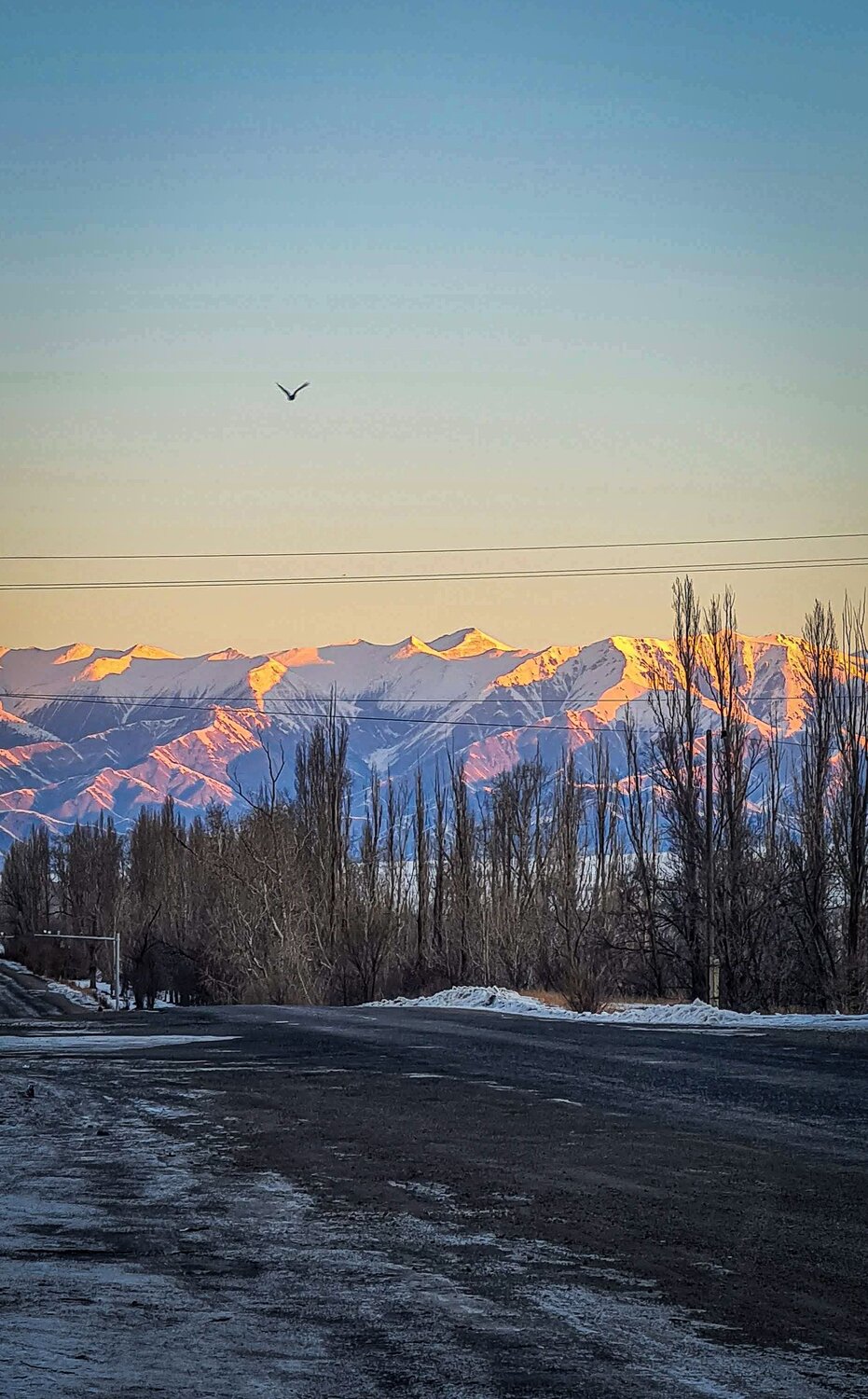 Photo #8718965