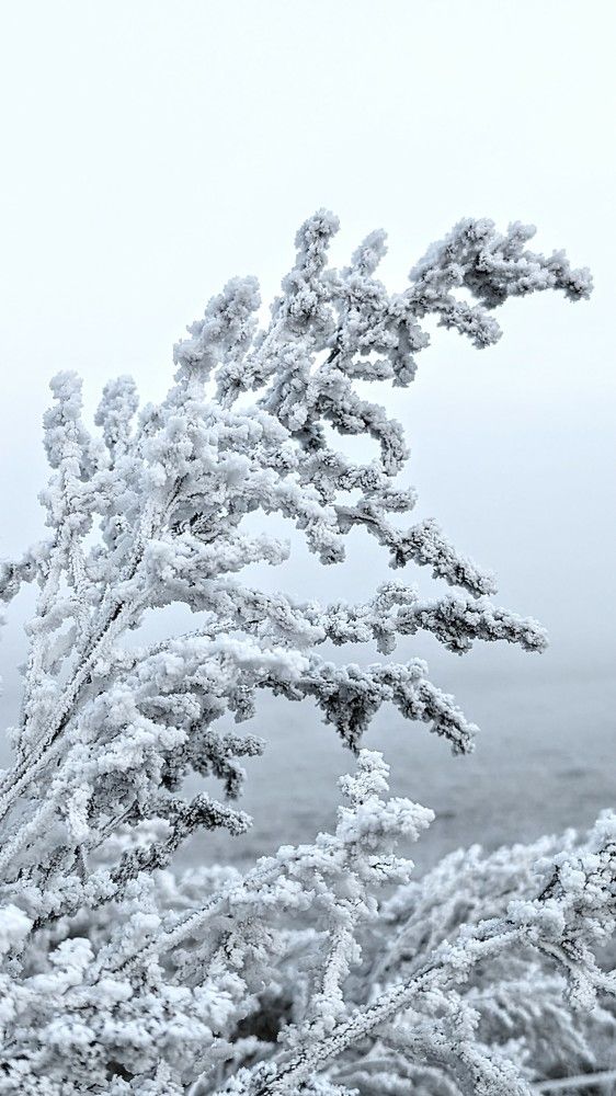 Photograph by mvand