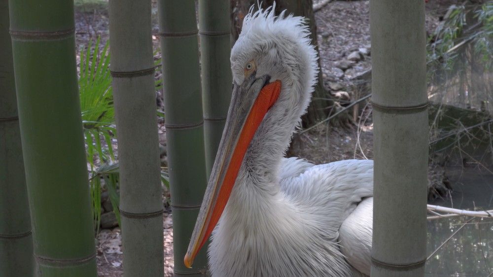 Photograph by Андрей Романов