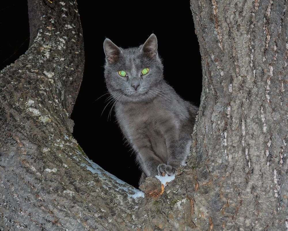 Photograph by Евгений Фазлеев