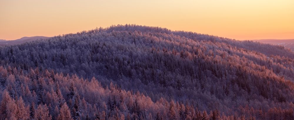 Photograph by Владимир Жерновенков