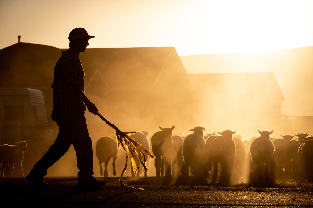 Фотография #8719051