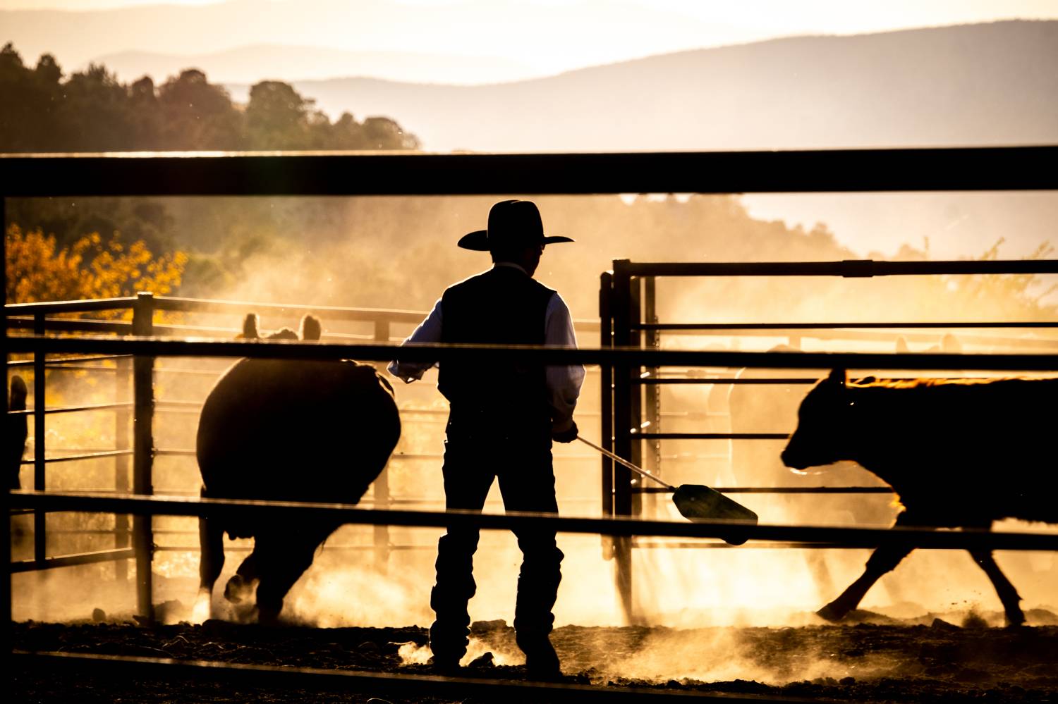 Фотография #8719054