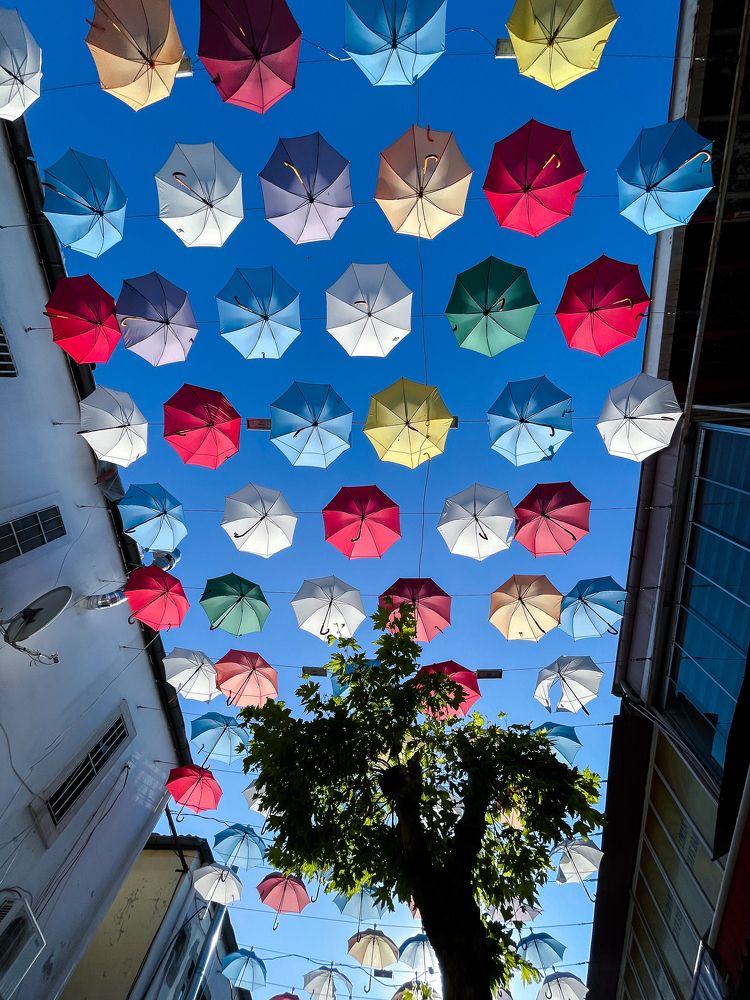 Umbrellas