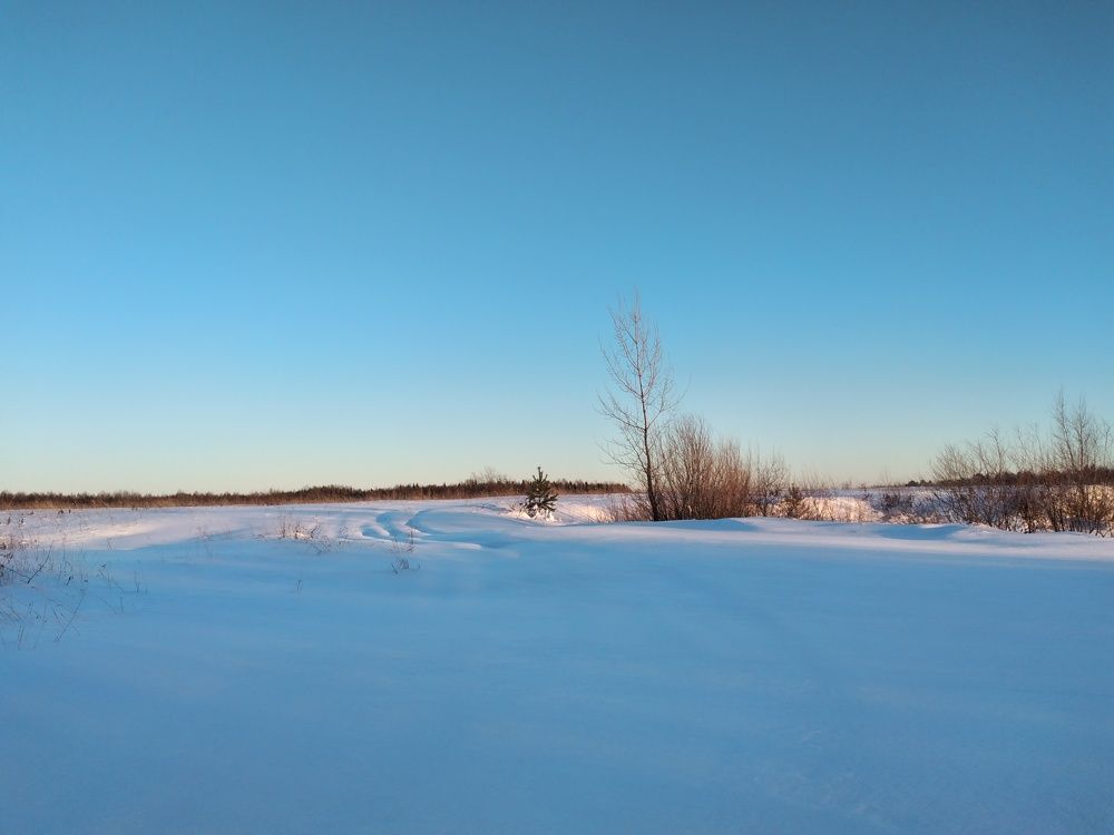 Photograph by София Корепанова