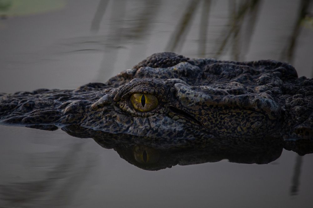 Photograph by Mineth Vismitha