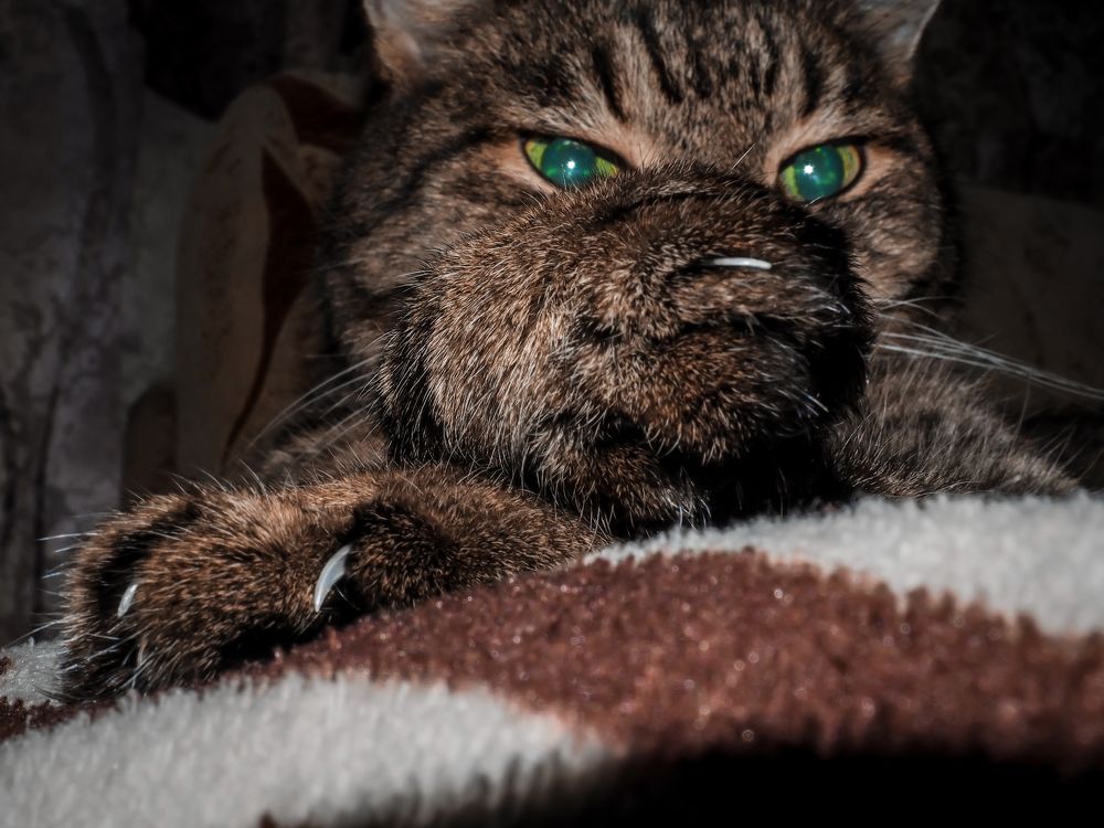 Photograph by Евгений Фазлеев