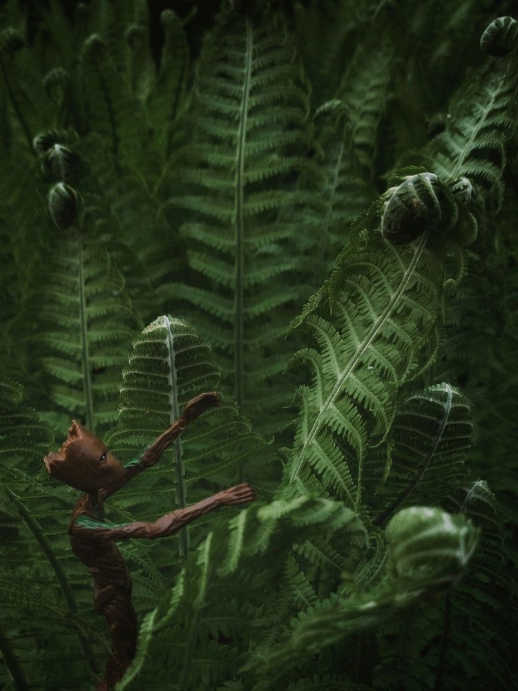 Photograph by Людмила Мельтишинова