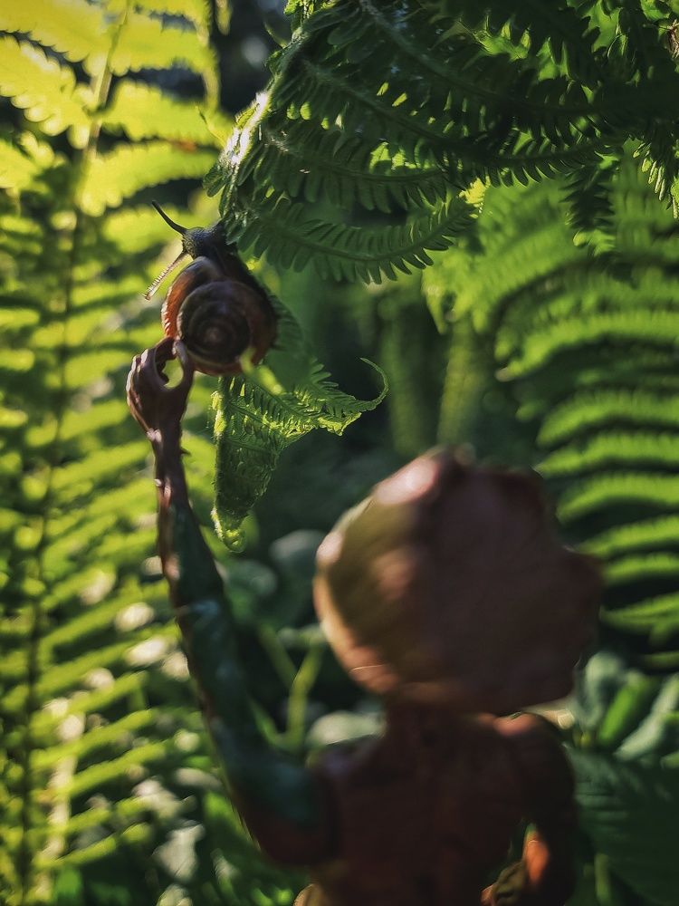 Photograph by Людмила Мельтишинова