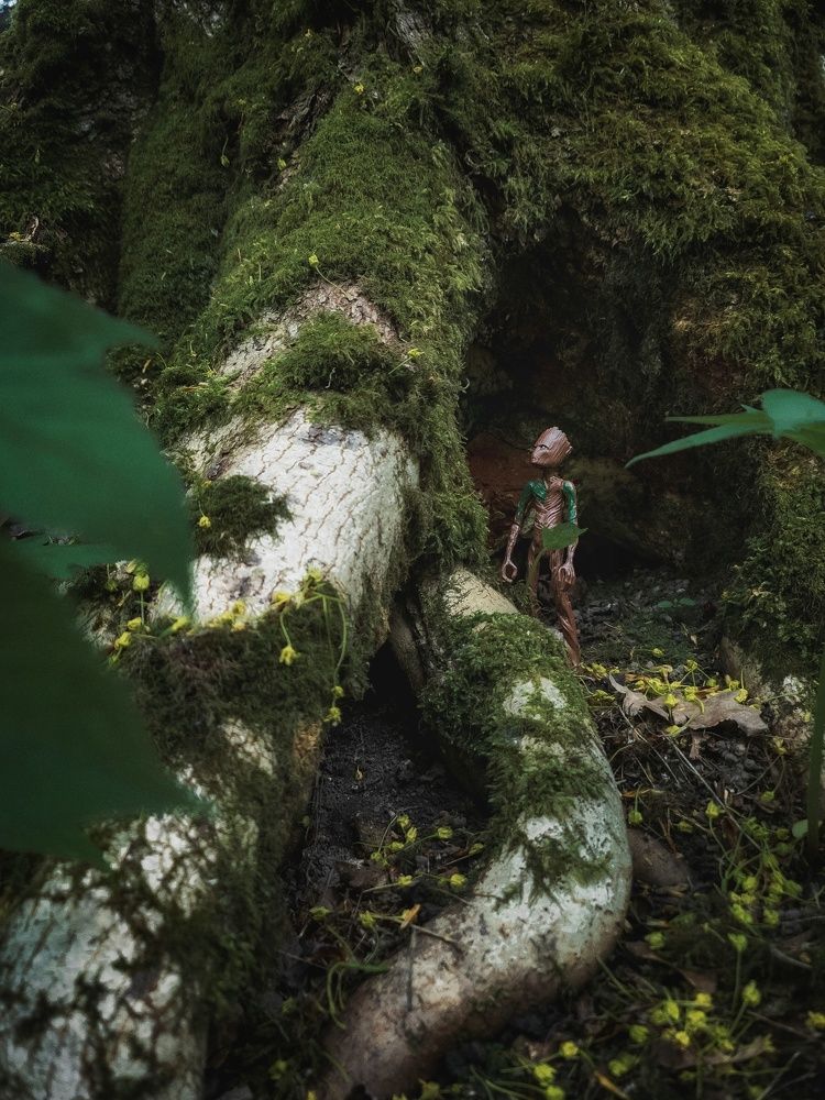 Photograph by Людмила Мельтишинова