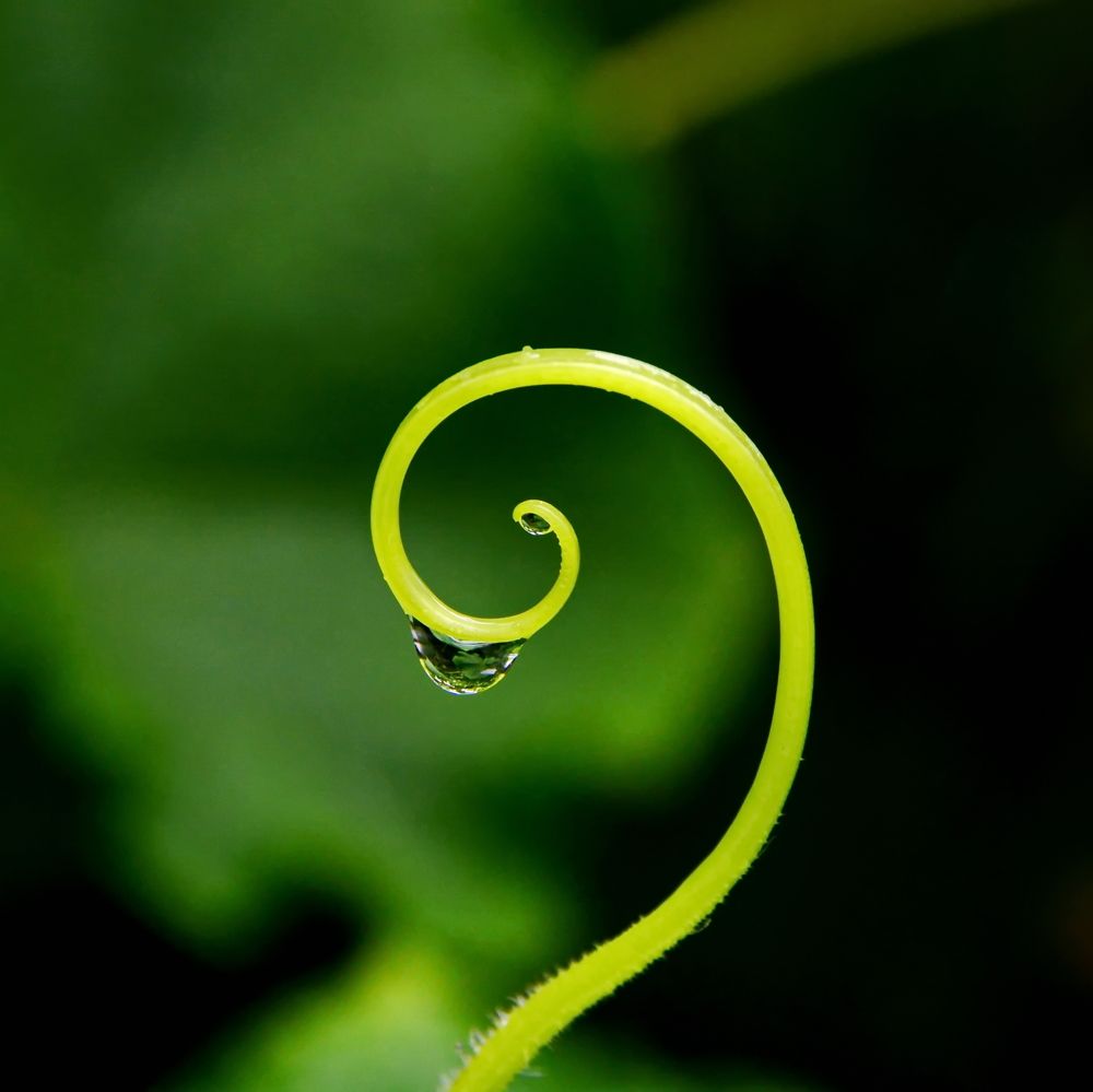 Photograph by Andrey