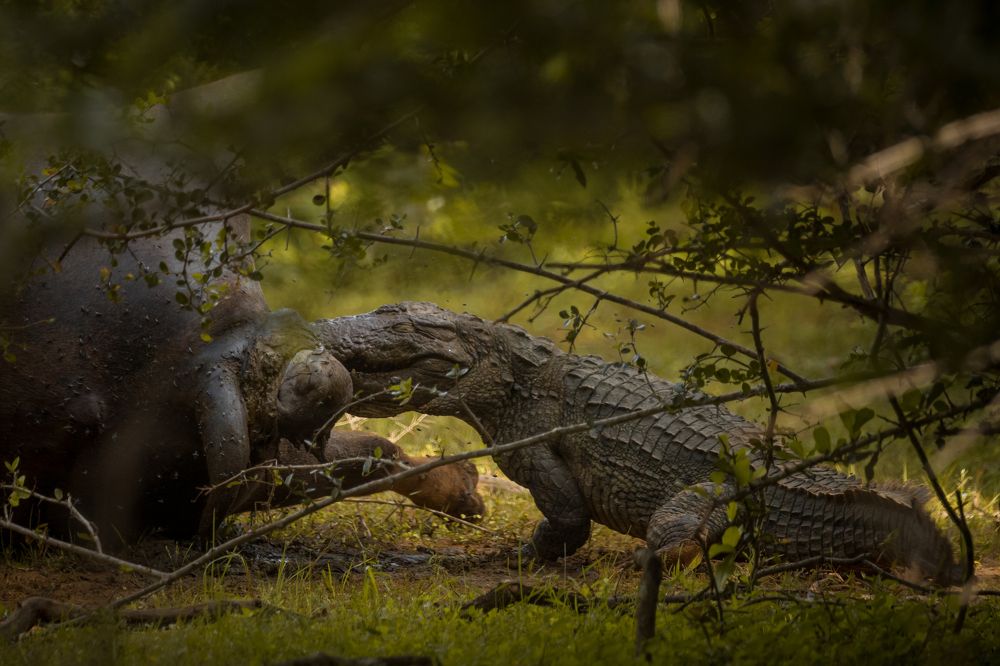 Photograph by Mineth Vismitha