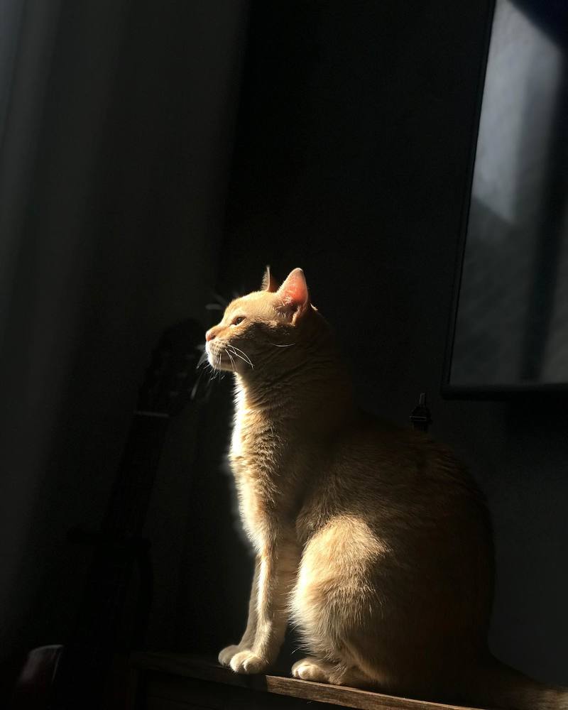 Photograph by Otto Acosta