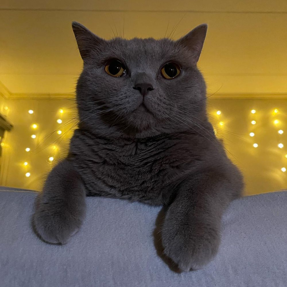 Photograph by Otto Acosta