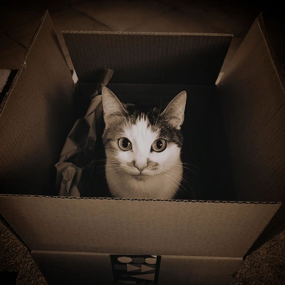 Photograph by Otto Acosta