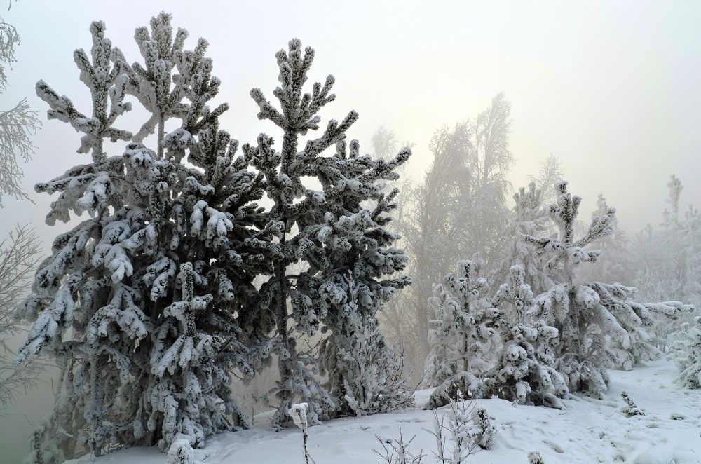 Photograph by Игорь Боголюбов