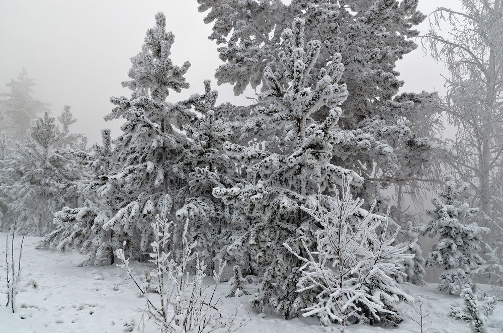 Photograph by Игорь Боголюбов