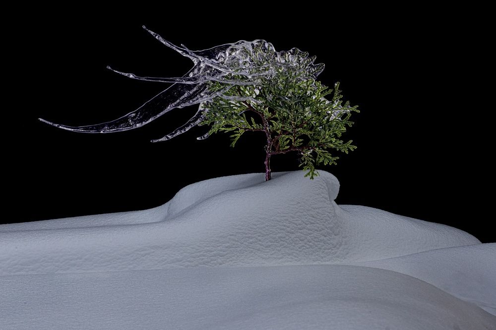 Фотография автора Черновол Валентин