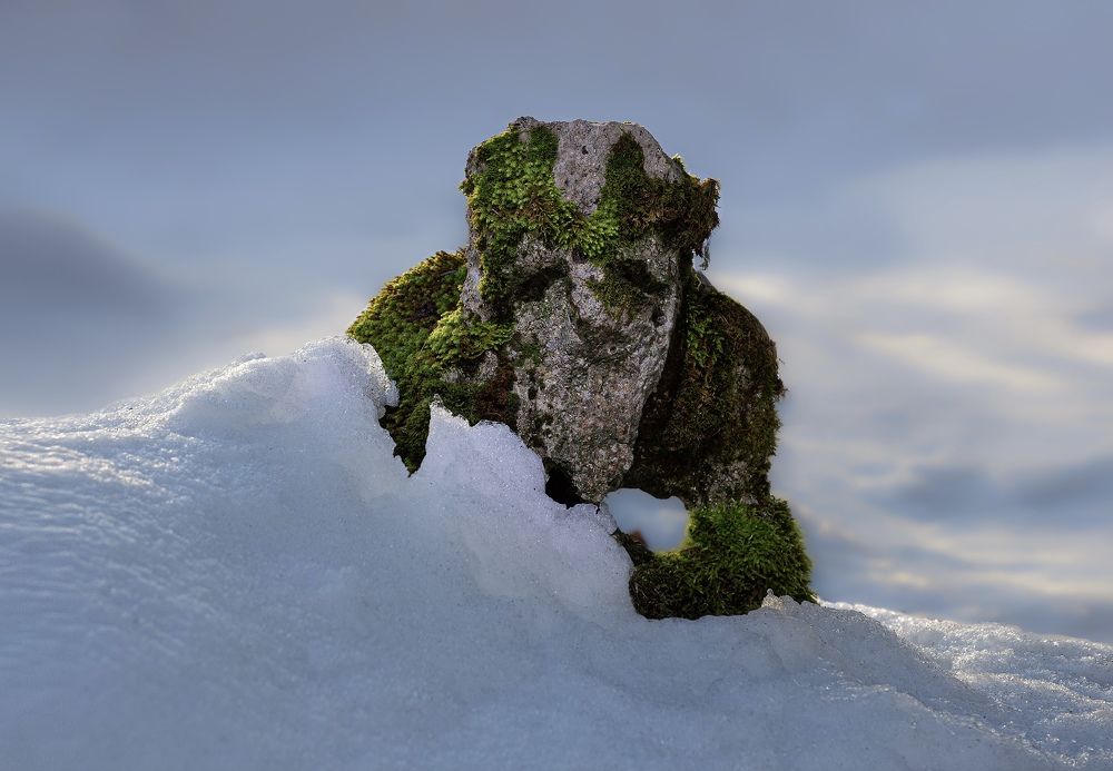 Фотография автора Черновол Валентин