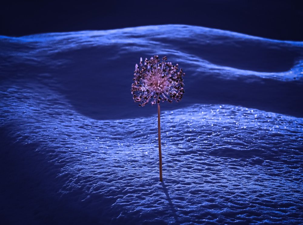 Фотография автора Черновол Валентин